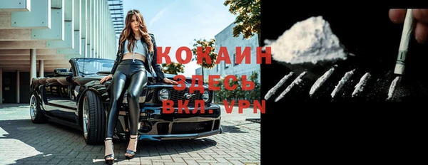 тгк Павловск