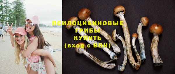 MDMA Premium VHQ Заводоуковск