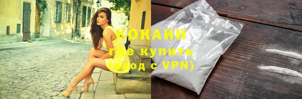 прущие грибы Фёдоровский