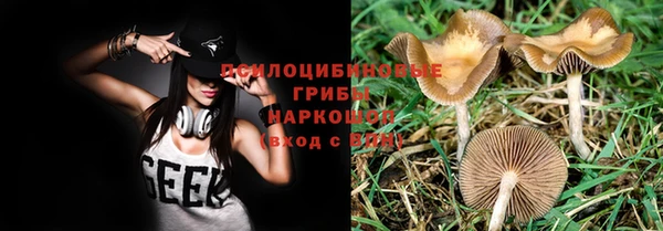 spice Абаза